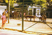 anapa.color-46