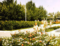 anapa.color-48