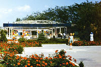 anapa.color-5