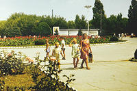 anapa.color-50
