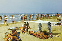 anapa.color-56