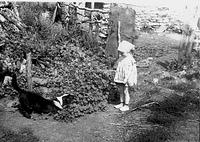 derevnya-1