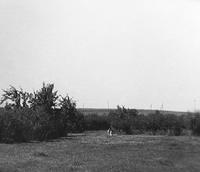 derevnya-21