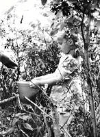 derevnya-26
