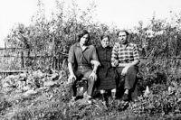 derevnya-61