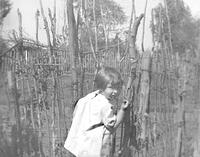 derevnya-64