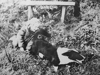 derevnya-7