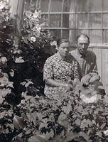 krestna korol