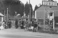 frunzevets