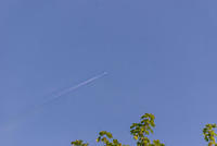 DSC 1878-1