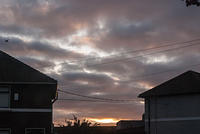 DSC 1941