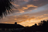 DSC 4206