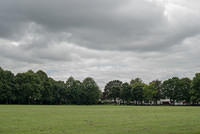 DSC 2929