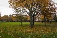 DSC 5480