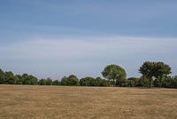 DSC 2077