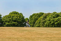 DSC 2081
