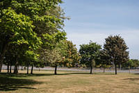 DSC 2138