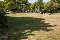 DSC 2145