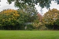 DSC 4772