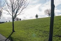 DSC 7427