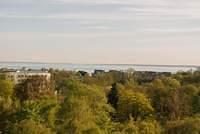 DSC 5085