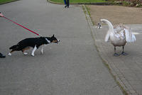 DSC 0610
