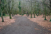 DSC 0614