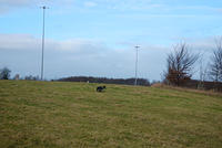 DSC 0642