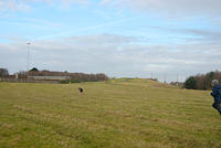 DSC 0645
