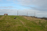 DSC 0657