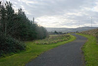DSC 0659