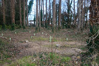DSC 0670