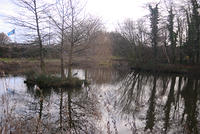 DSC 0675