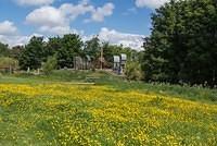 DSC 0631