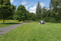 DSC 0647