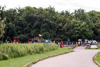 DSC 2310