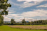 DSC 2319