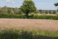 DSC 2347