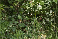 DSC 2363
