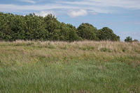 DSC 2367