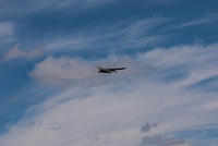 DSC 2390