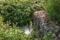 DSC 2396