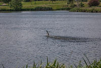 DSC 2401