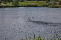 DSC 2402
