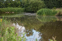 DSC 2438