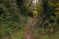 DSC 5347