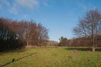 DSC 6874