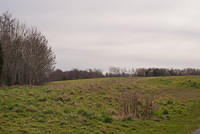 DSC 7722