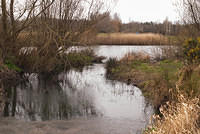 DSC 7725