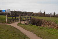 DSC 7746